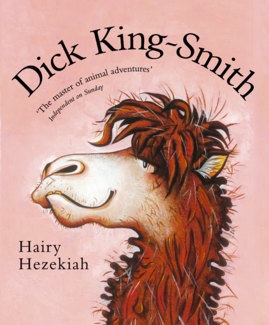 Book cover of Hairy Hezekiah