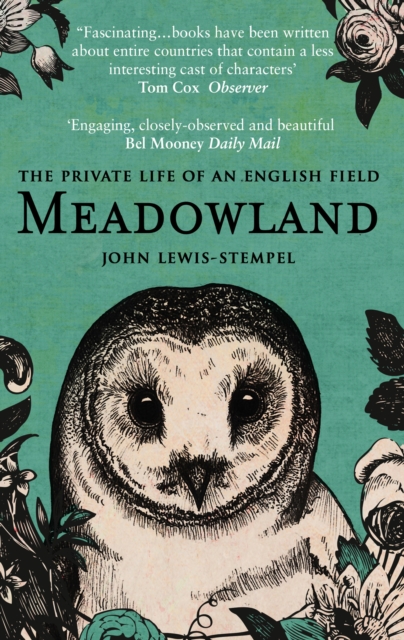 Book cover of Meadowland