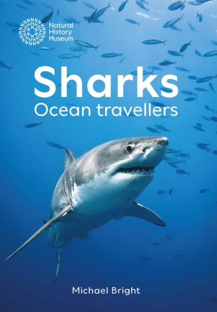 Book cover of Sharks