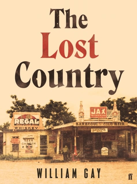 Book cover of The Lost Country