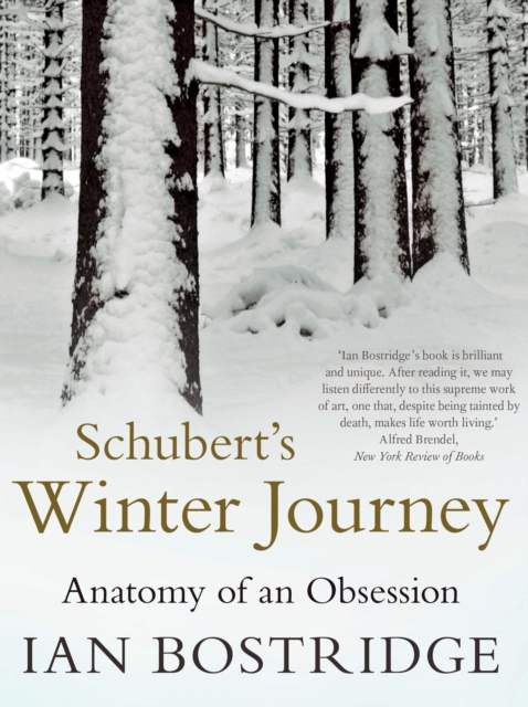 Book cover of Schubert's Winter Journey