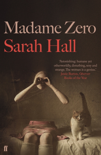 Book cover of Madame Zero