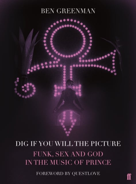 Book cover of Dig If You Will The Picture