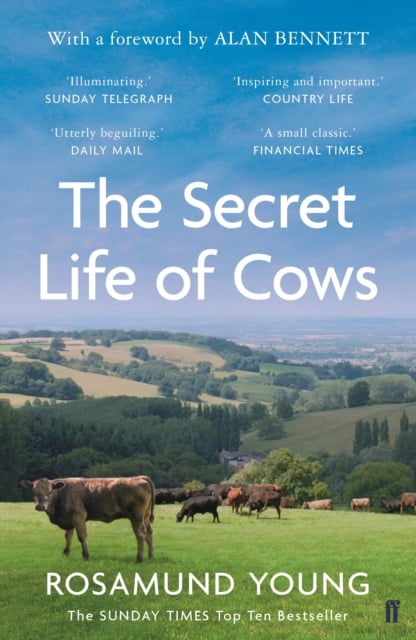 Book cover of The Secret Life of Cows