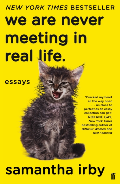 Book cover of We Are Never Meeting in Real Life