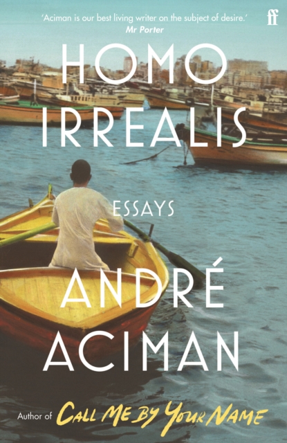 Book cover of Homo Irrealis
