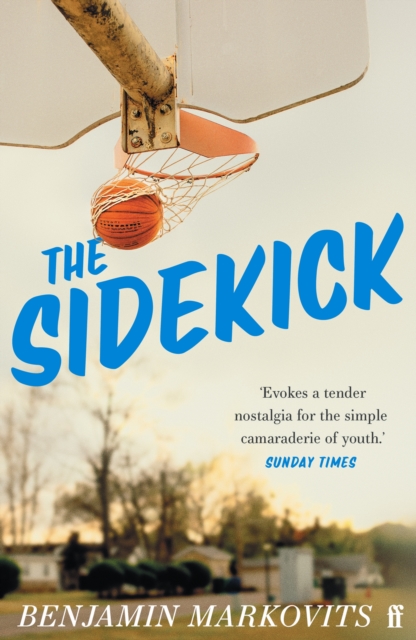 Book cover of The Sidekick
