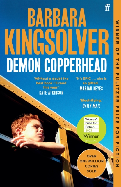 Book cover of Demon Copperhead
