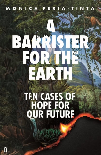Book cover of A Barrister for the Earth