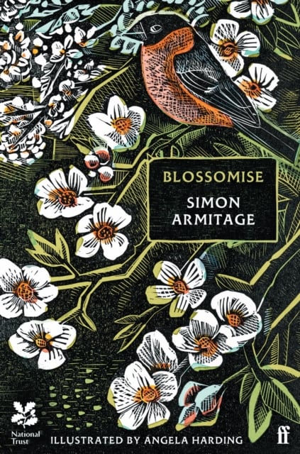 Book cover of Blossomise