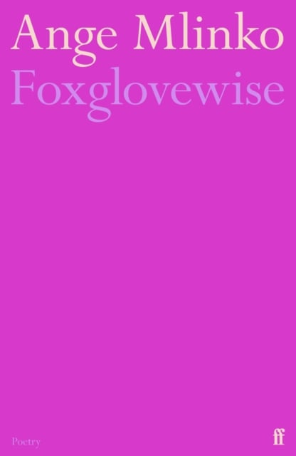 Book cover of Foxglovewise