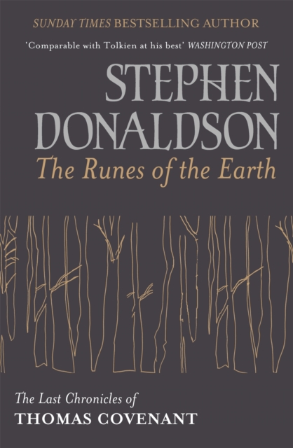 Book cover of The Runes Of The Earth