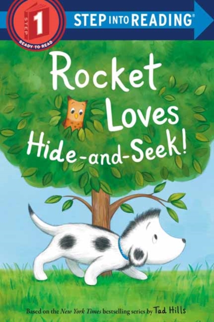 Book cover of Rocket Loves Hide-and-Seek!