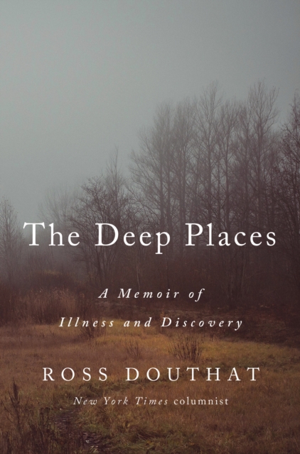 Book cover of In a Dark Wood