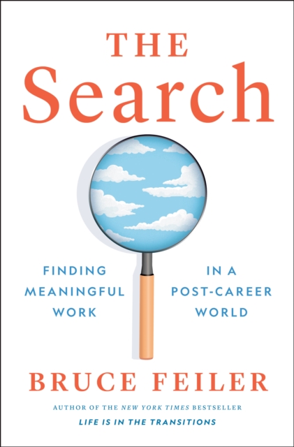 Book cover of The Search