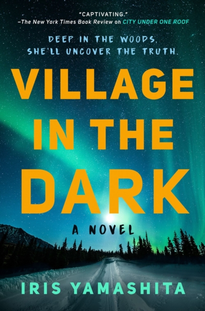 Book cover of Village in the Dark