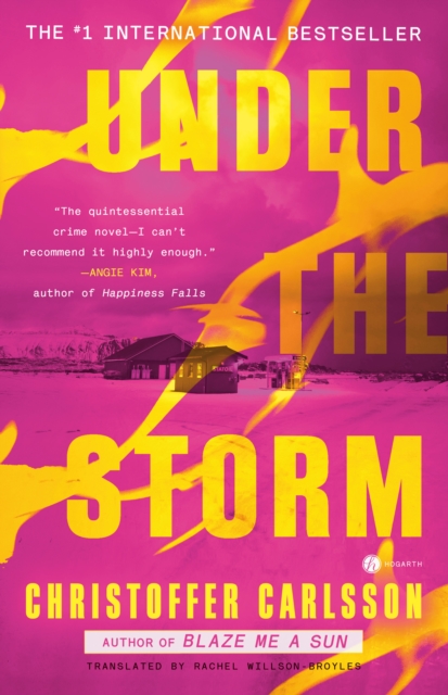 Book cover of Under the Storm
