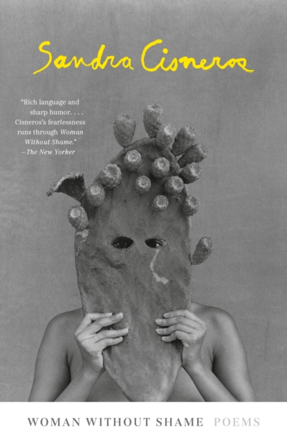 Book cover of Woman Without Shame