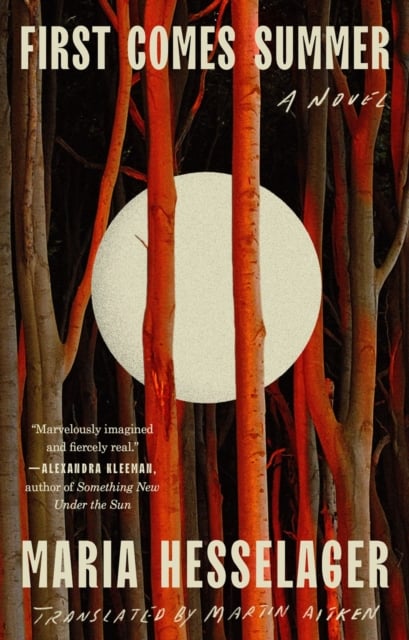Book cover of First Comes Summer