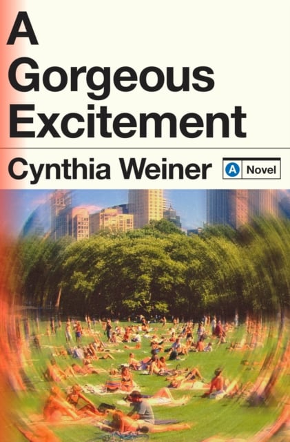 Book cover of A Gorgeous Excitement