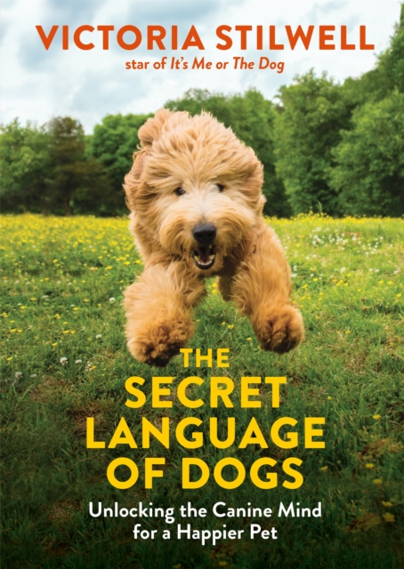 Book cover of The Secret Language of Dogs