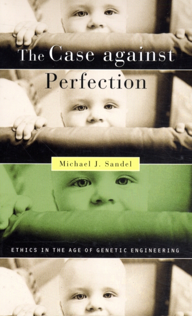 Book cover of The Case against Perfection