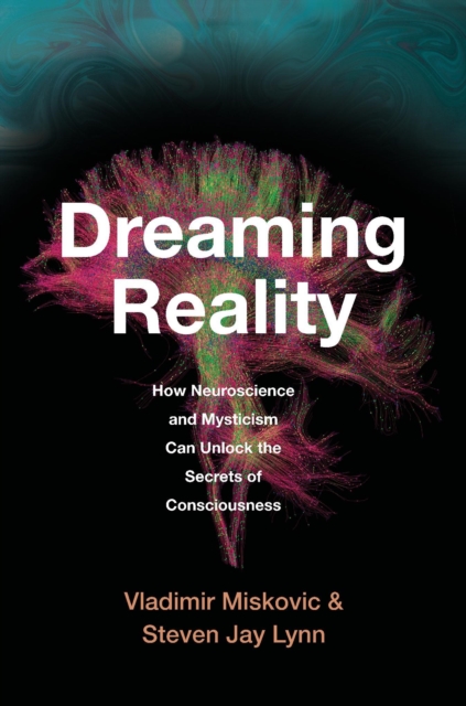 Book cover of Dreaming Reality