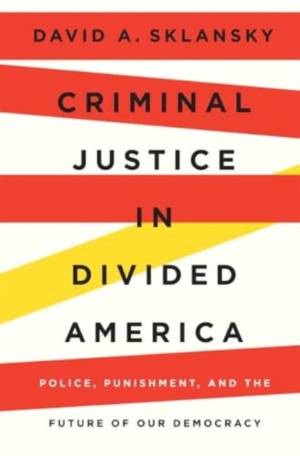 Book cover of Criminal Justice in Divided America