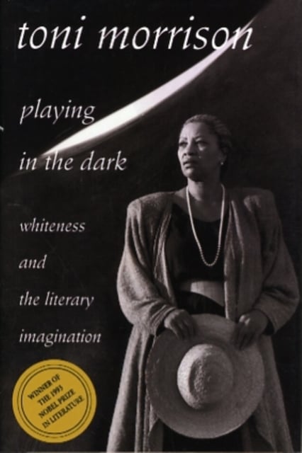 Book cover of Playing in the Dark