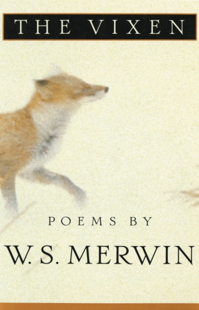 Book cover of The Vixen
