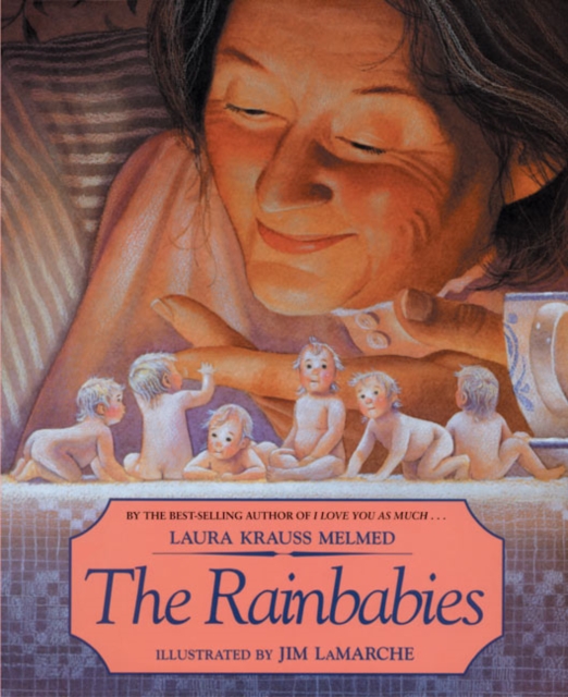Book cover of The Rainbabies
