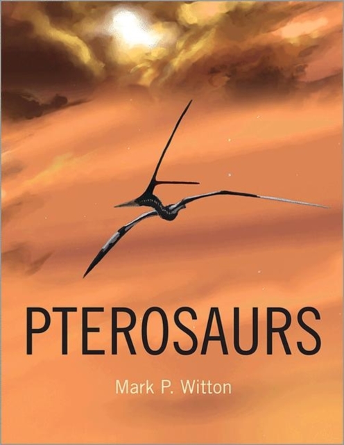 Book cover of Pterosaurs
