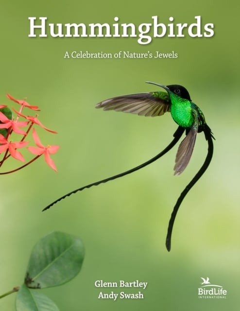 Book cover of Hummingbirds