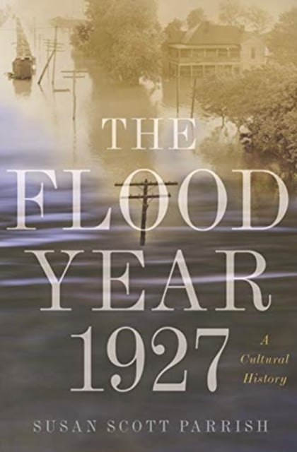 Book cover of The Flood Year 1927