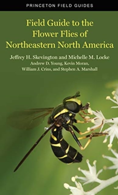Book cover of Field Guide to the Flower Flies of Northeastern North America