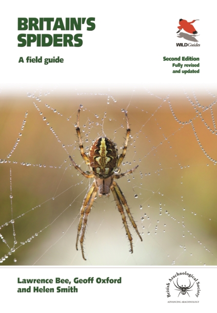 Book cover of Britain's Spiders
