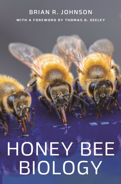 Book cover of Honey Bee Biology