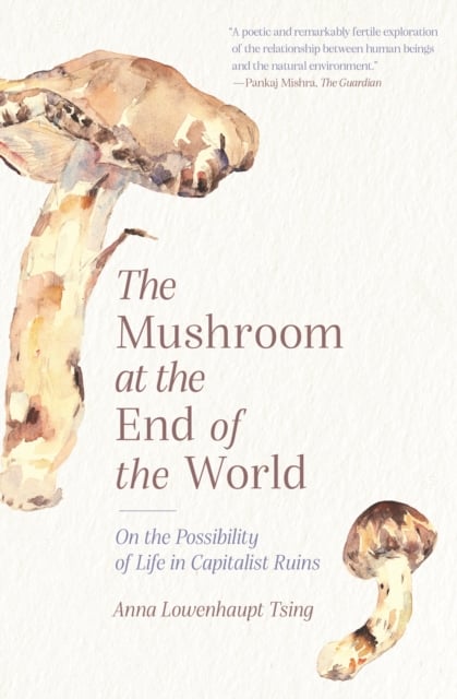 Book cover of The Mushroom at the End of the World