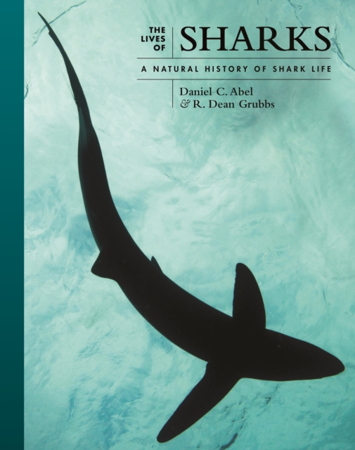 Book cover of The Lives of Sharks