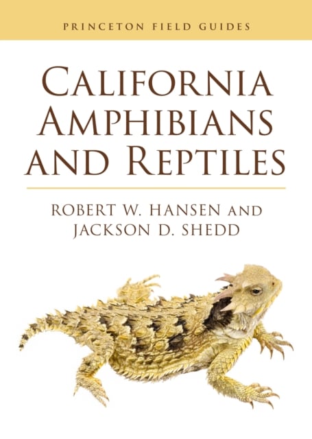 Book cover of California Amphibians and Reptiles