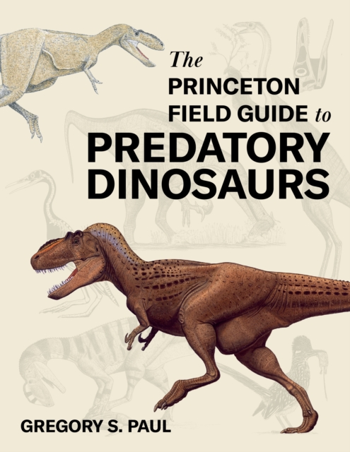 Book cover of The Princeton Field Guide to Predatory Dinosaurs
