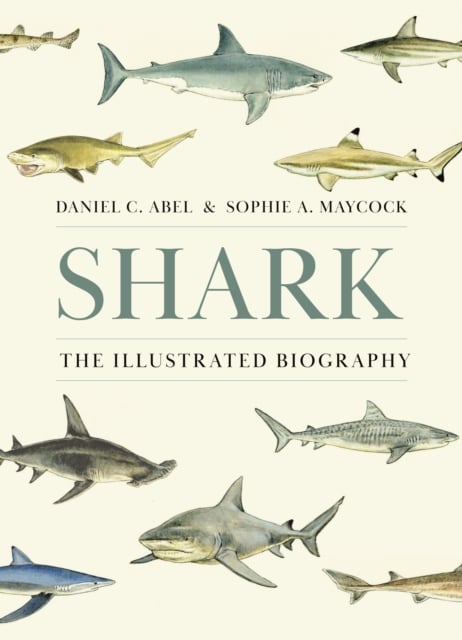 Book cover of Shark