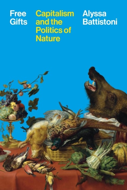 Book cover of Free Gifts