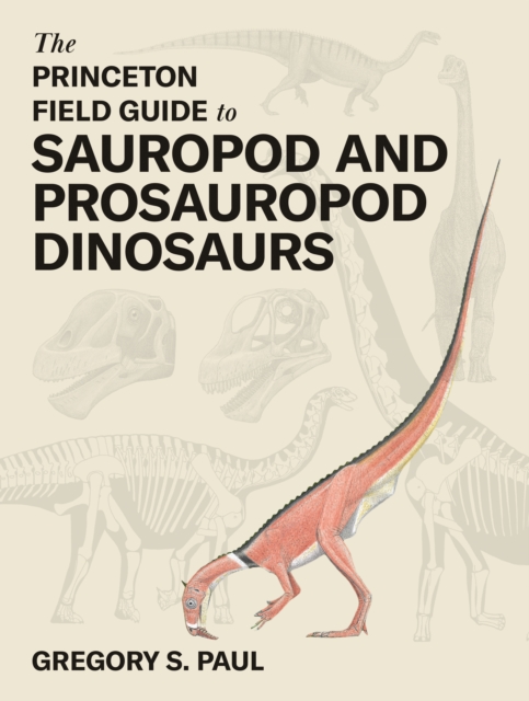 Book cover of The Princeton Field Guide to Sauropod and Prosauropod Dinosaurs