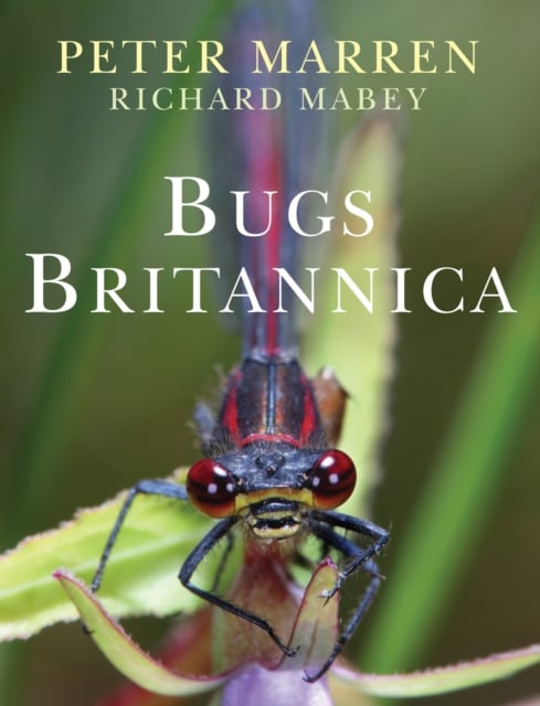 Book cover of Bugs Britannica