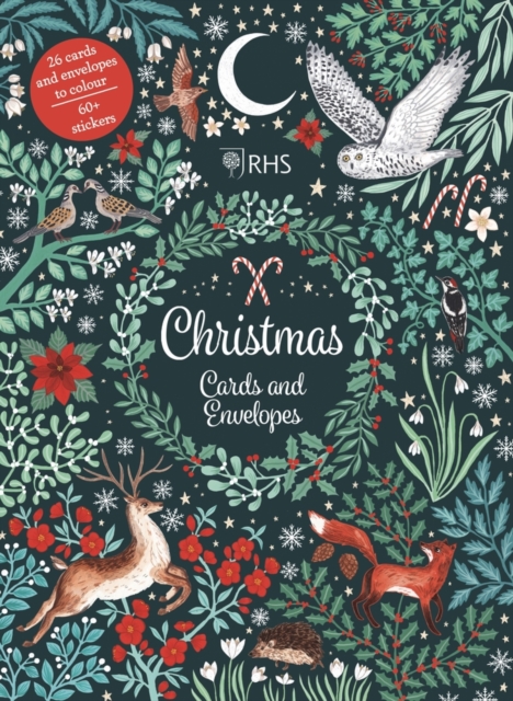 Book cover of Christmas Cards and Envelopes