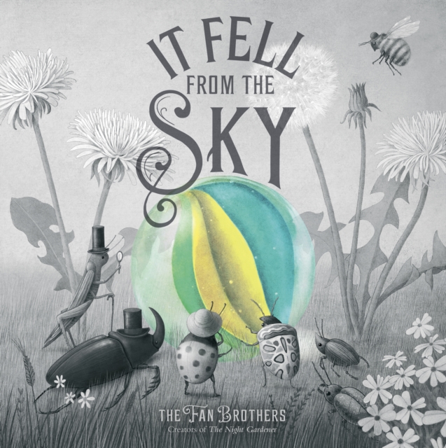 Book cover of It Fell From The Sky