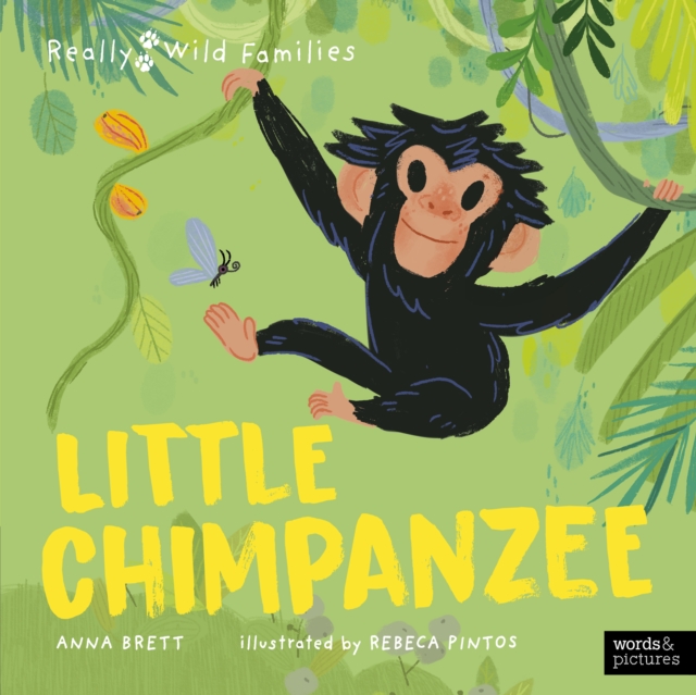 Little Chimpanzee by Anna Brett | Shakespeare & Company