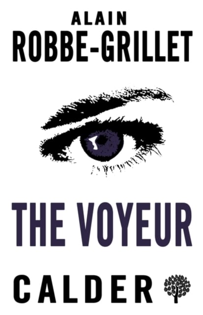 Book cover of The Voyeur
