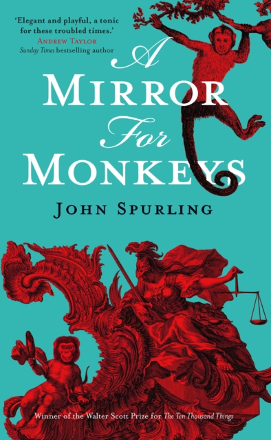 Book cover of A Mirror for Monkeys